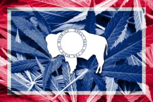 10th Circuit Court Rules 2018 Farm Bill Does Not Preempt Wyoming Hemp THC Laws