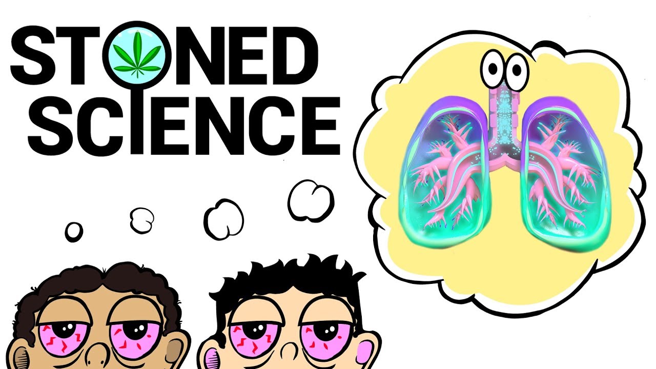 Two Stoned Comedians Explain the Respiratory System | STONED SCIENCE