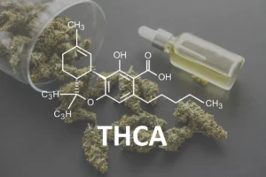 What Are the Best Ways to Use THCA Hemp Safely: Expert Safety Tips