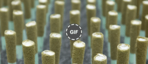 The Hidden Shortcut to Launching a Cannabis Brand