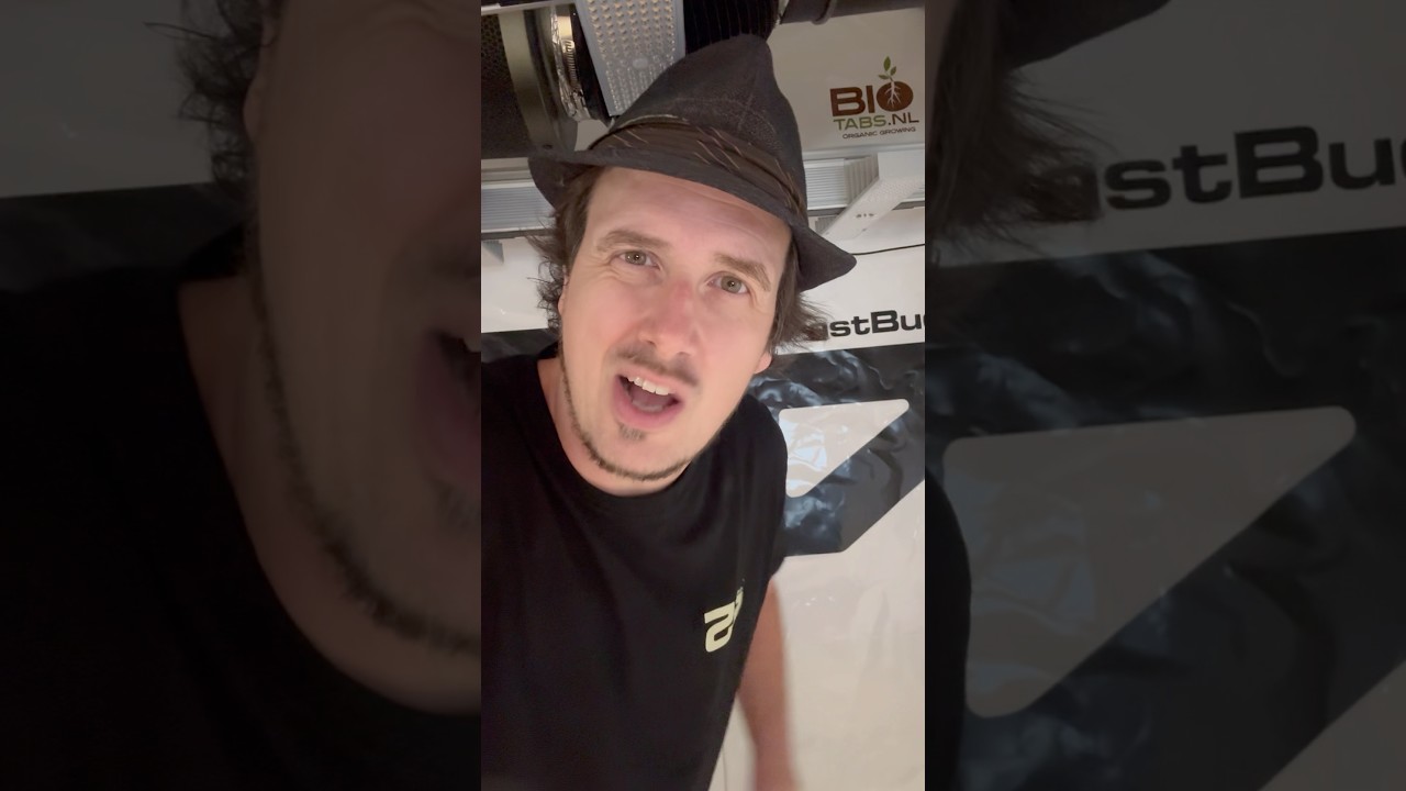 60K Followers – It’s 420 Somewhere Right Now! 😎#shorts