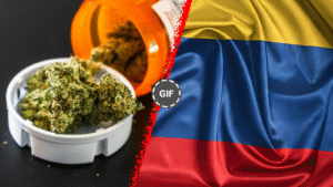 Colombia Approves Sale of Medical Cannabis Flower: Small Growers Get First Dibs