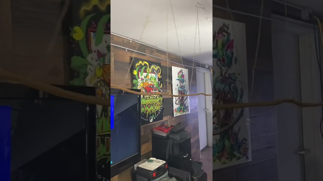 “THE WORLDS LONGEST BLUNT” (19’ 3” Swisher)