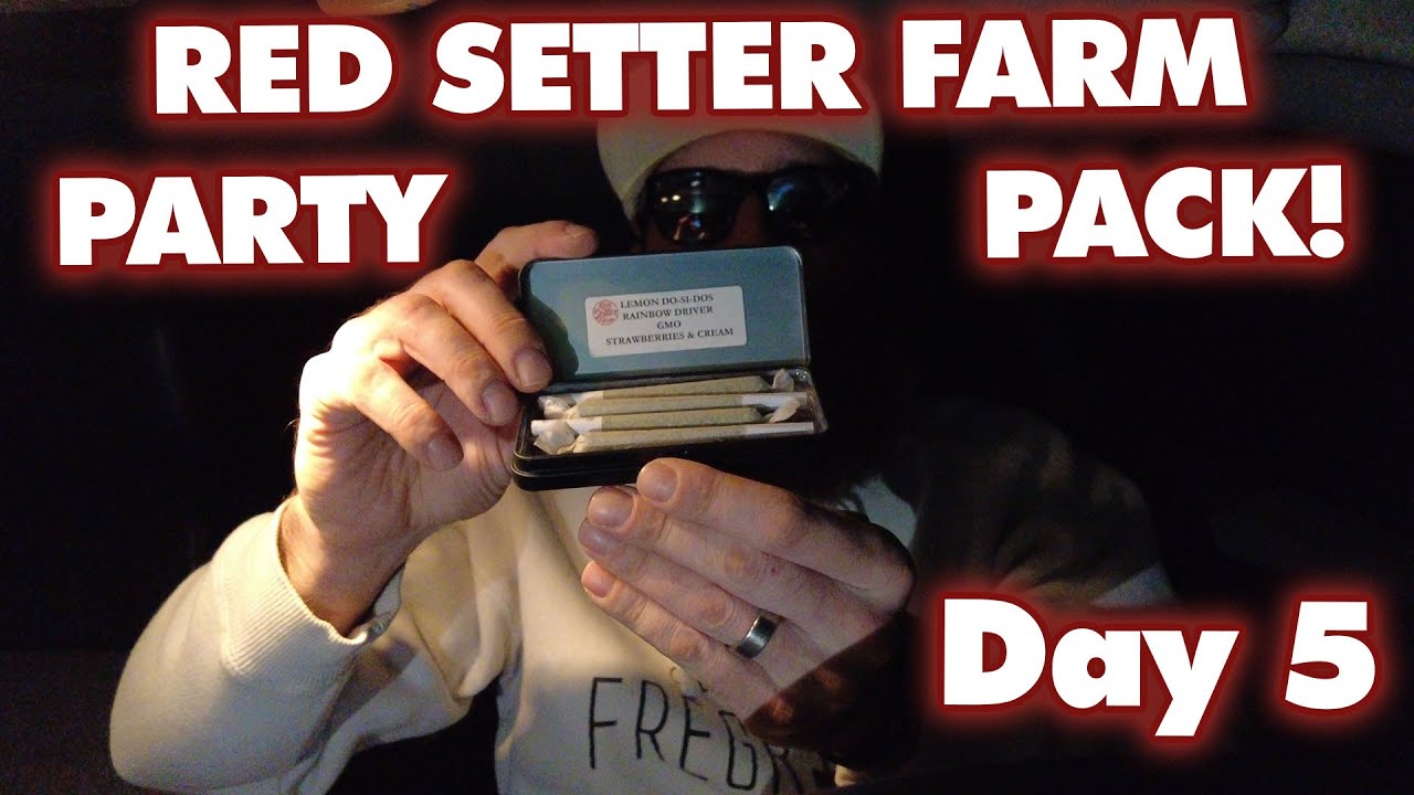 [Day 5] Red Setter Farm Party Pack!