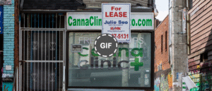 The Legal Weed Meltdown Ontario Doesn’t Want You to See