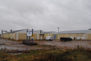 Yellow Medicine County approves permit for indoor cannabis cultivation - West Central Tribune