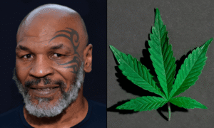 Mike Tyson Talks Marijuana With Pennsylvania Governor And Top Lawmakers As Legalization Fight Heats Up