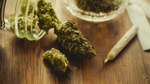 Cannabis Use Is Linked to Epigenetic Changes, Scientists Discovered : ScienceAlert