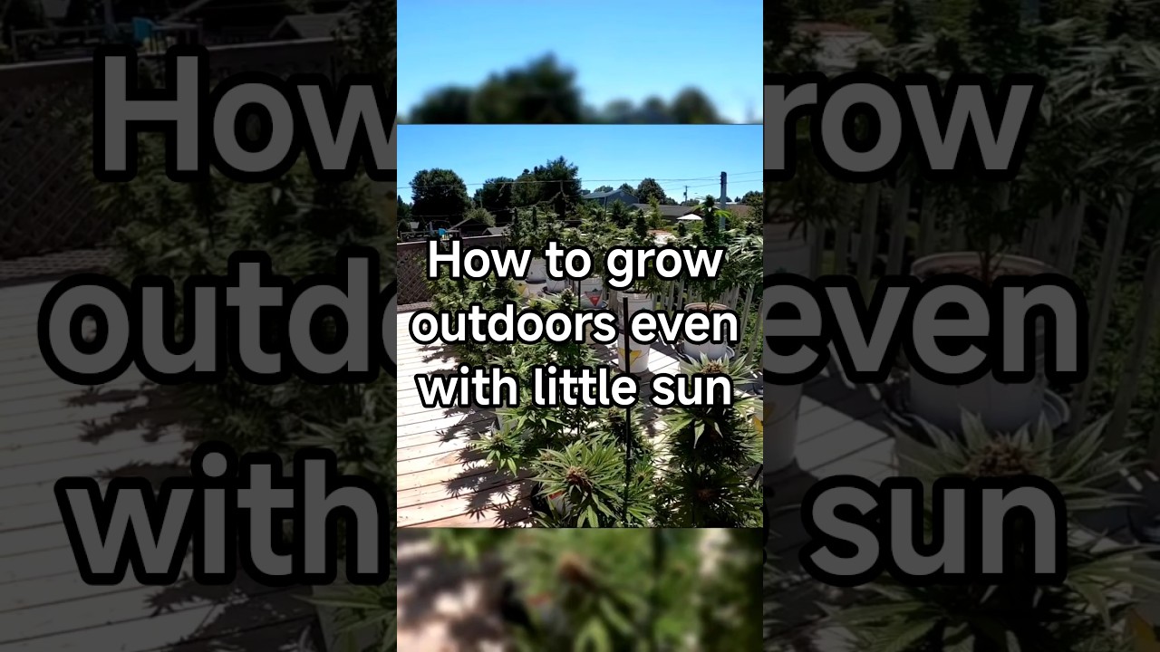 Short Seasons,Smart Moves 🌒⛅