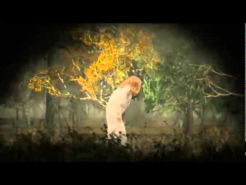 Indica - In Passing Alternative Version by Jesse Hietanen.flv