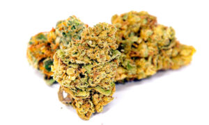 Dark Star: This Soothing Strain Will Melt Away Your Tension