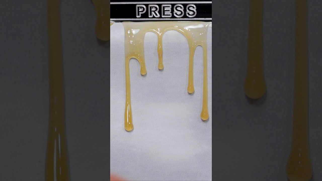 First Press is MAGICAL 🍯