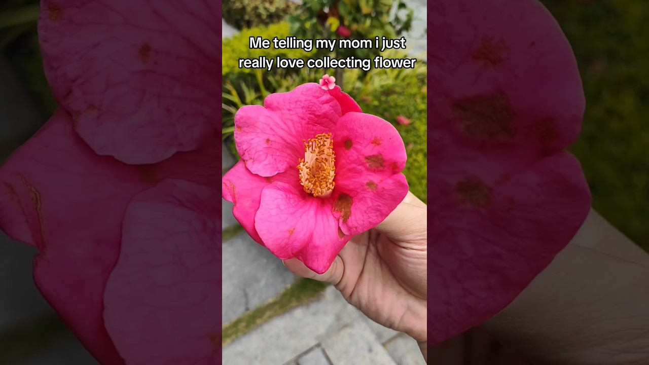 Vintage Rolling Machine Tutorial🥖🌺🌺