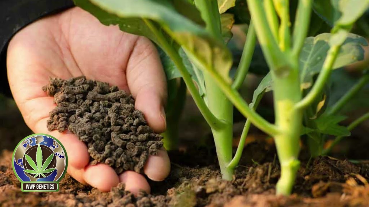 Mastering Plant Nutrition @wwplogistics542