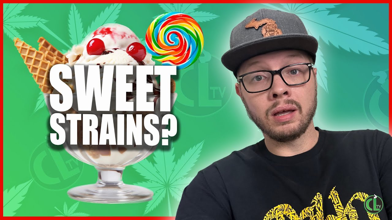 The Sweetest Genetics I've Ever Had!