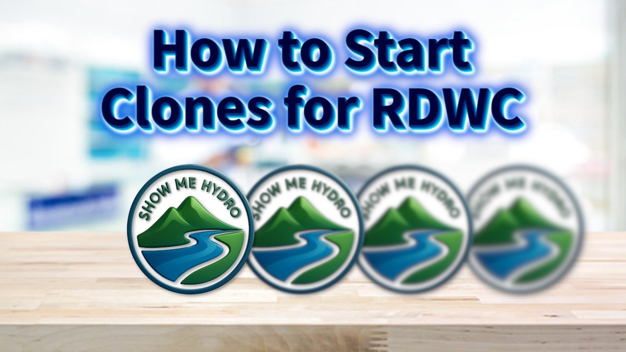 How to Start Clones for RDWC