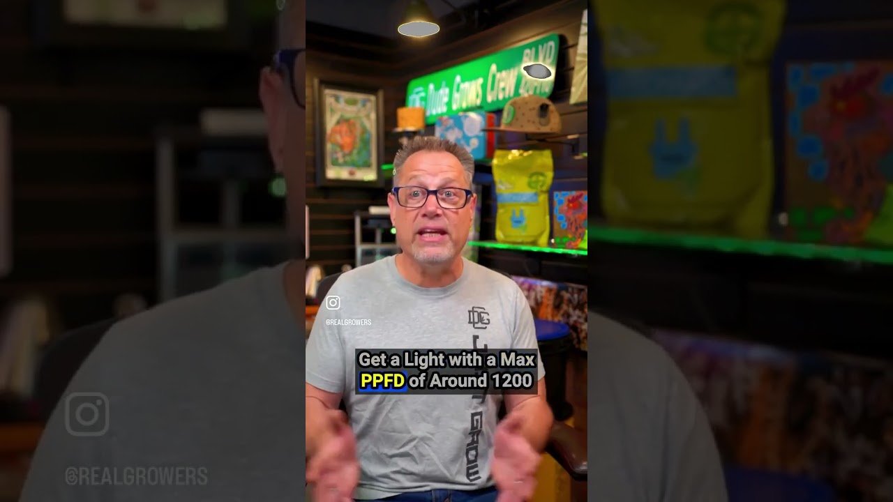 How Much Light For Giant Colas💡⁠