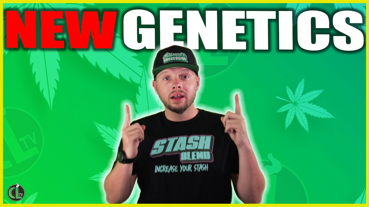 New Grow, New Genetics – Check Out This Lineup!
