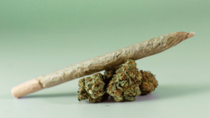 a single wrinkled marijuana joint rests at an angle against three tiny buds