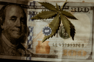 Spanberger Win Sparks $2.5B Cannabis Sales Forecast for Virginia