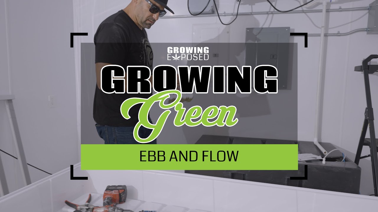 Ebb And Flow System Set Up | Growing Green Vol 10