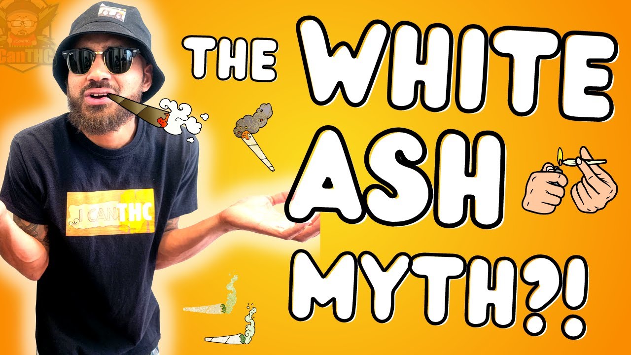 TRUTH ABOUT WHITE ASH....