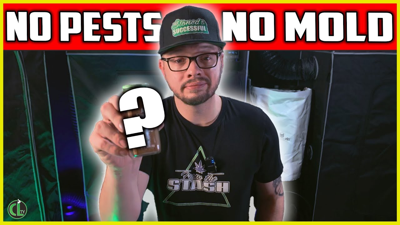 Fix Mold, Pests, & Cloning Problems With This Natural Ingredient