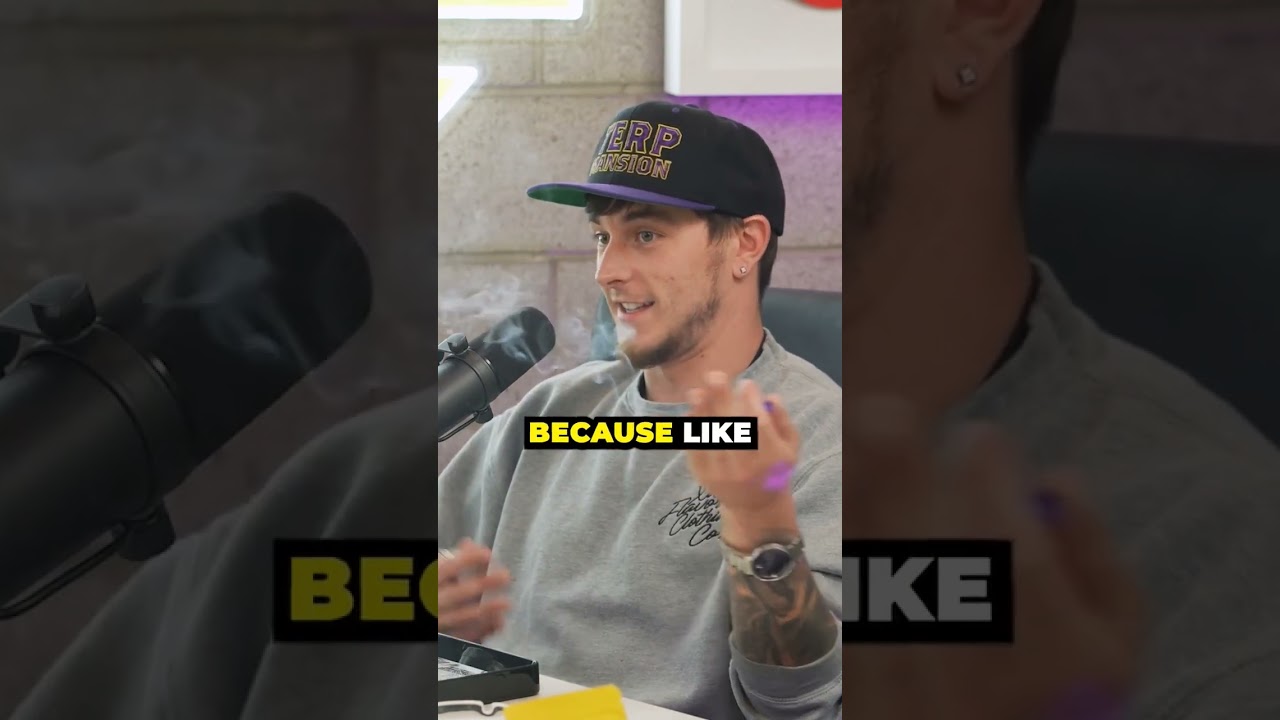 Terp Mansion's journey