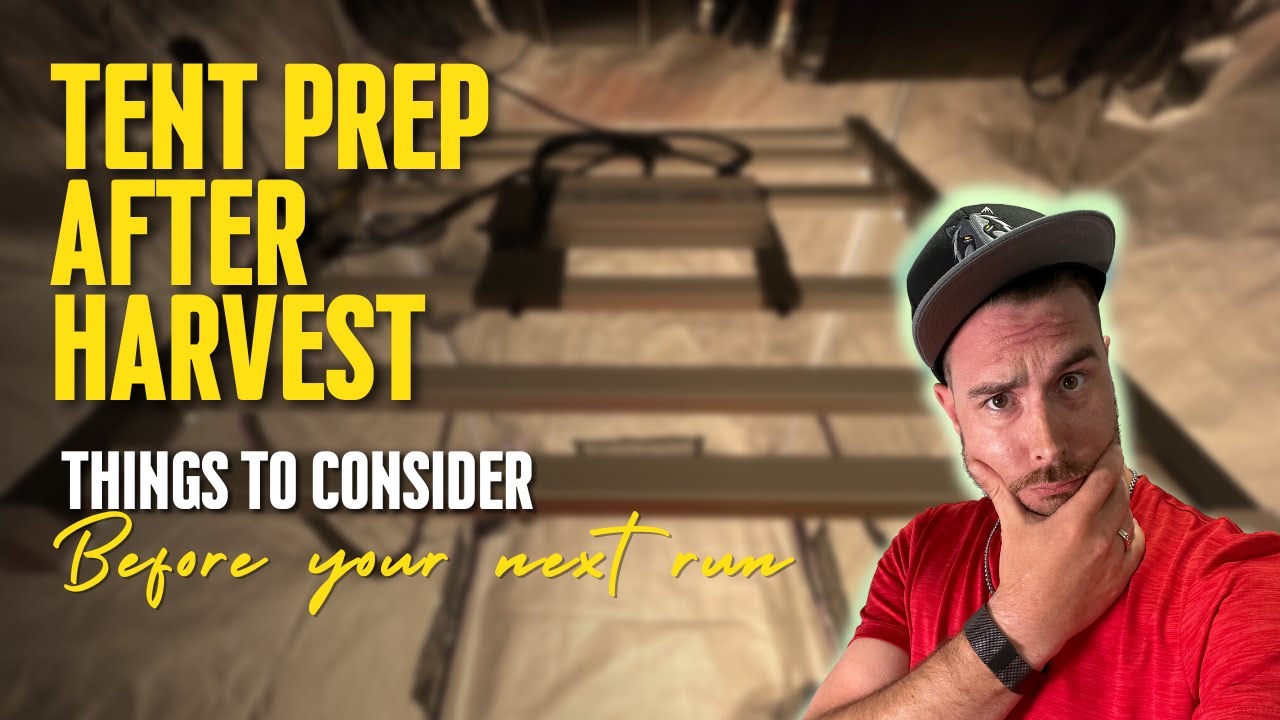 Post HARVEST Preparation