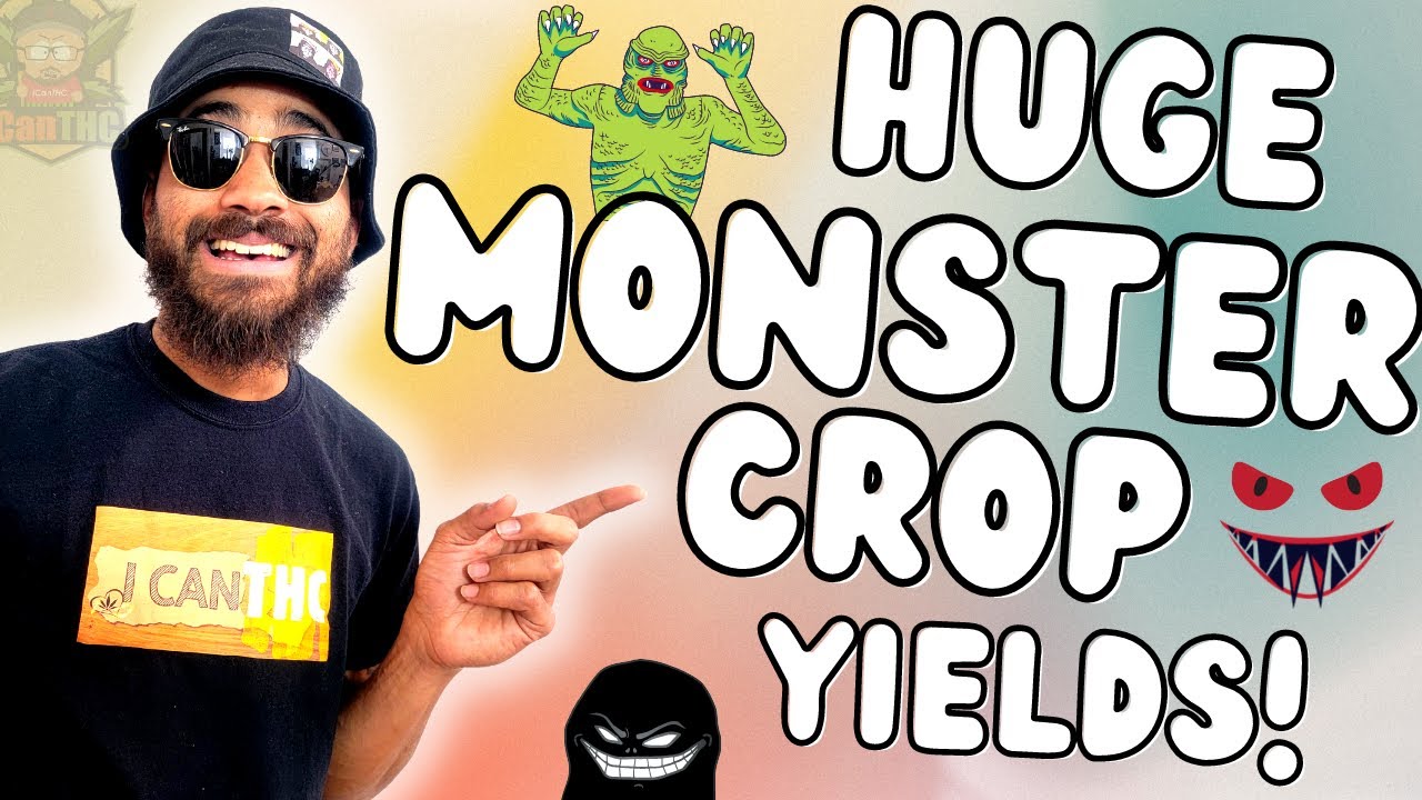 TRUTH ABOUT MONSTER CROPPING! ... Does it increase yield?
