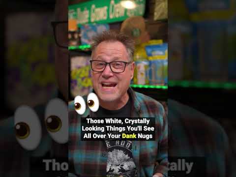 Don't Harvest Your Plants Until YOU see this!🫵