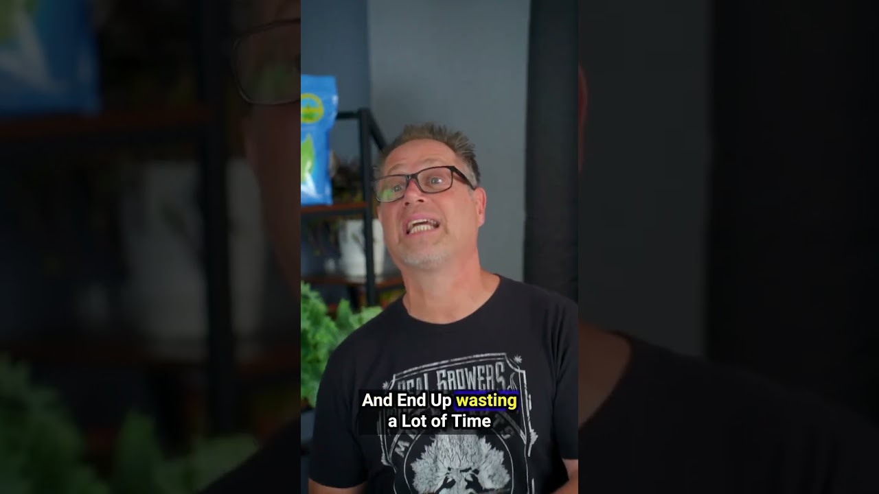 Should You Grow From Clones or Seeds?