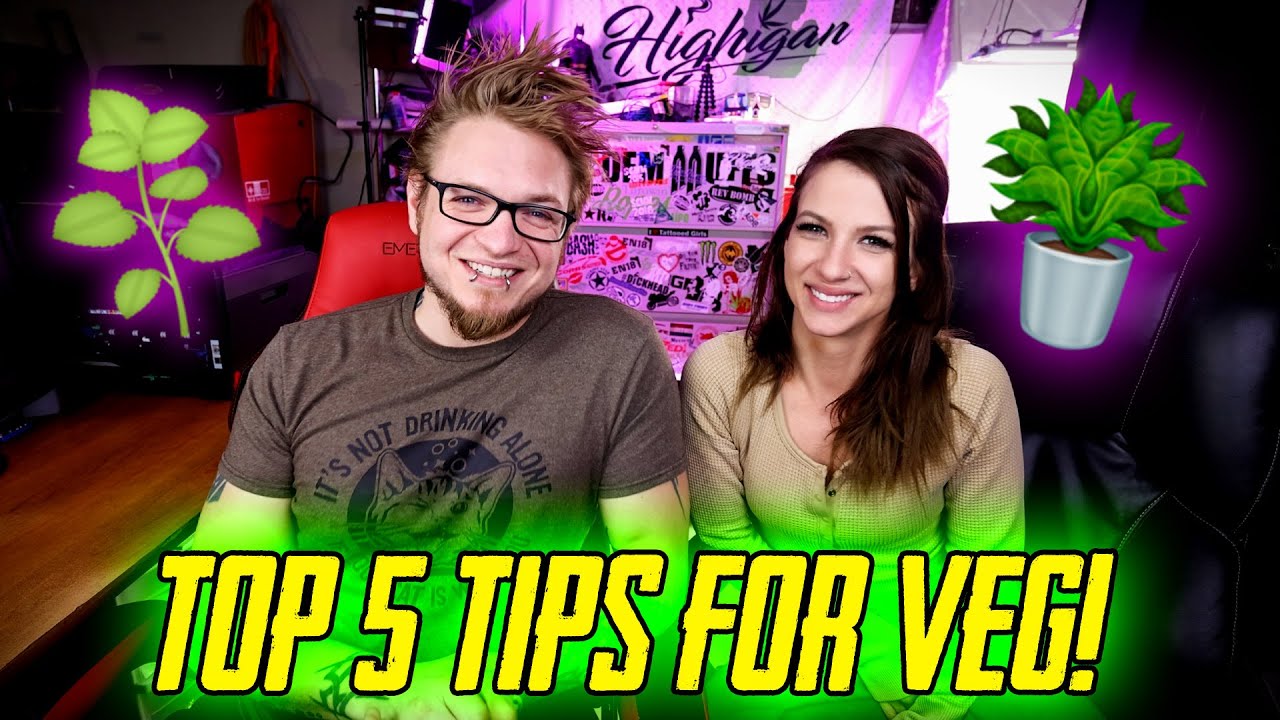 Top 5 Tips For Veg Stage!