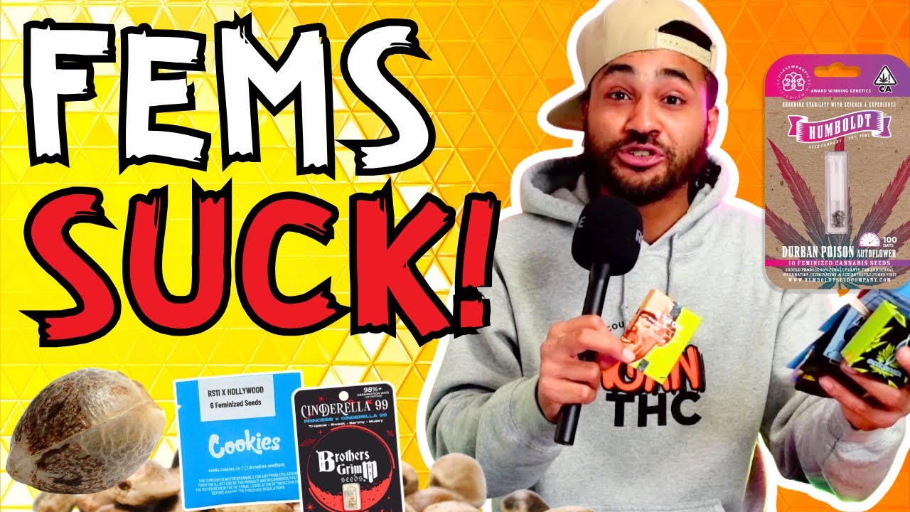 I am DONE WITH FEMINIZED GENETICS...😡