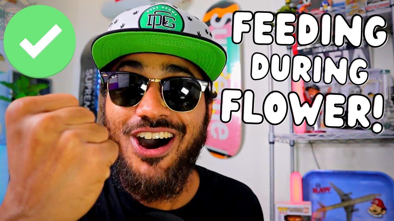 DO THIS FOR GREAT RESULTS!