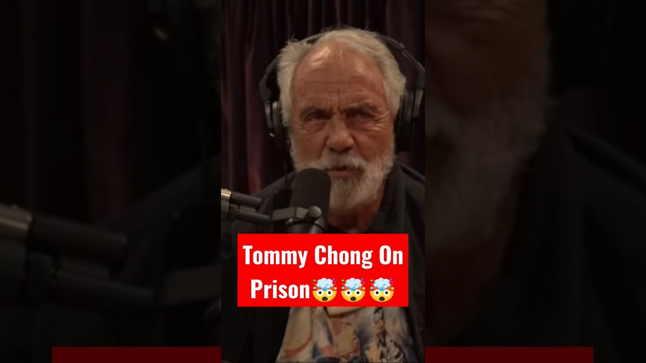 Tommy Chong On Prison 🤯🤯🤯#shorts #short #joerogan #amazing #Tommychong #prison #jail #crazy #wild