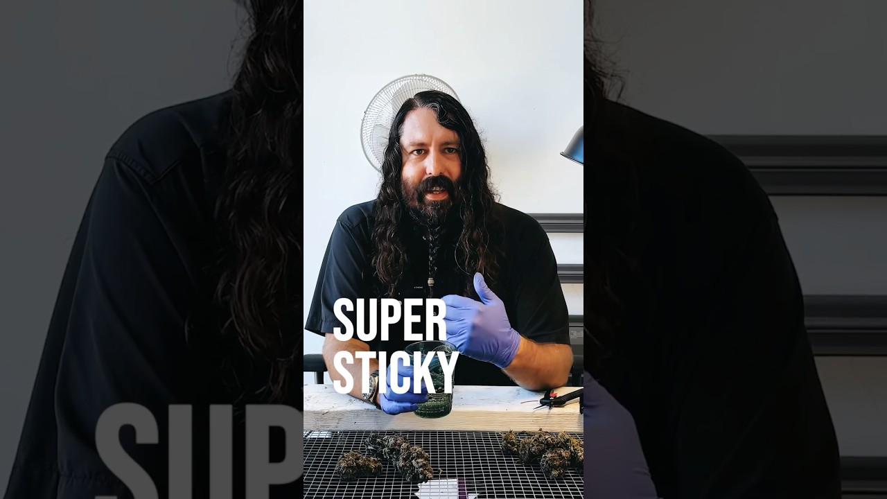 #howto keep clean trimming scissors all the time!