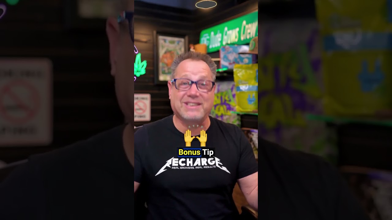 3 Things I Wish I Knew About Veg Cycles Before I Started Growing!