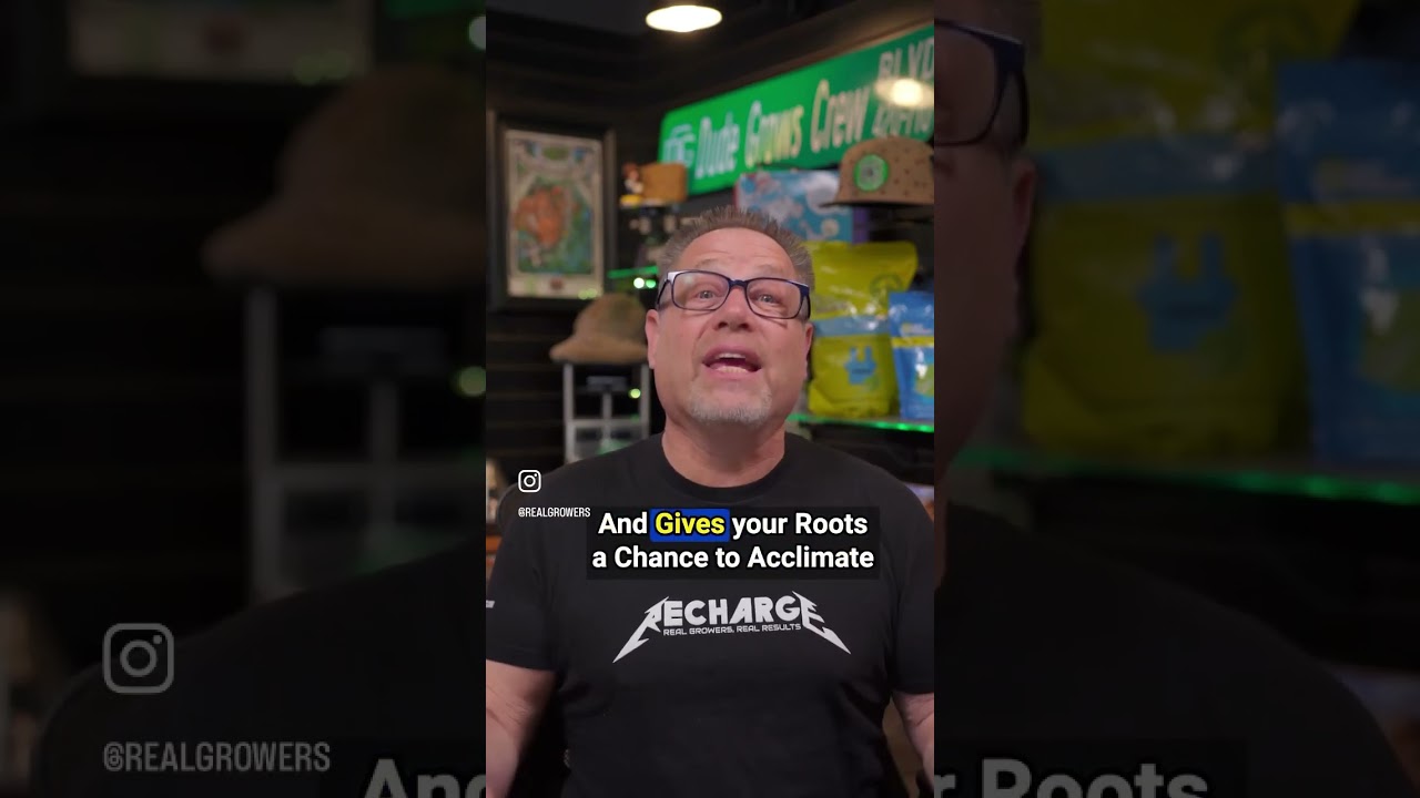 Make Sure You Avoid Transplant Shock with These 3 Tips! 🌿👍⁠