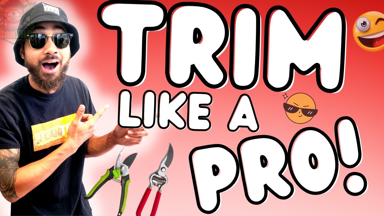 UPDATED! Truth about TRIMMING! ... Is wet better than dry?