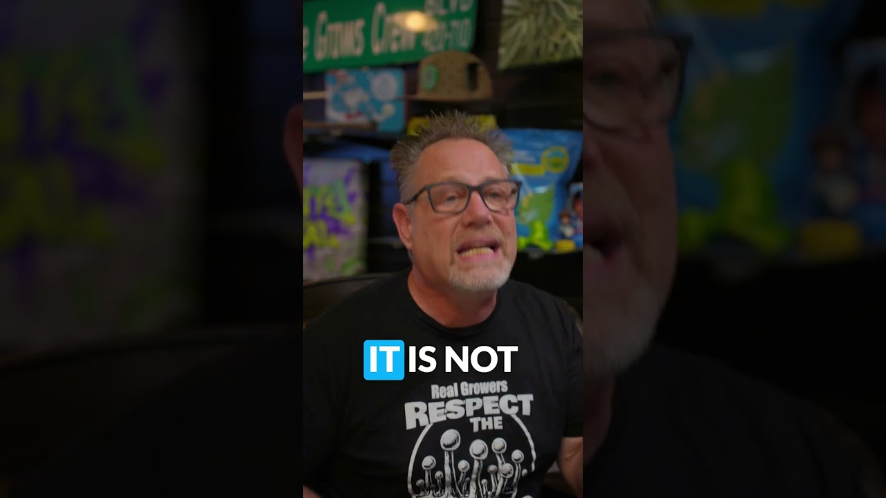 Forget the water cup. This method mimics nature β and gets seeds popping fast. ππΏ