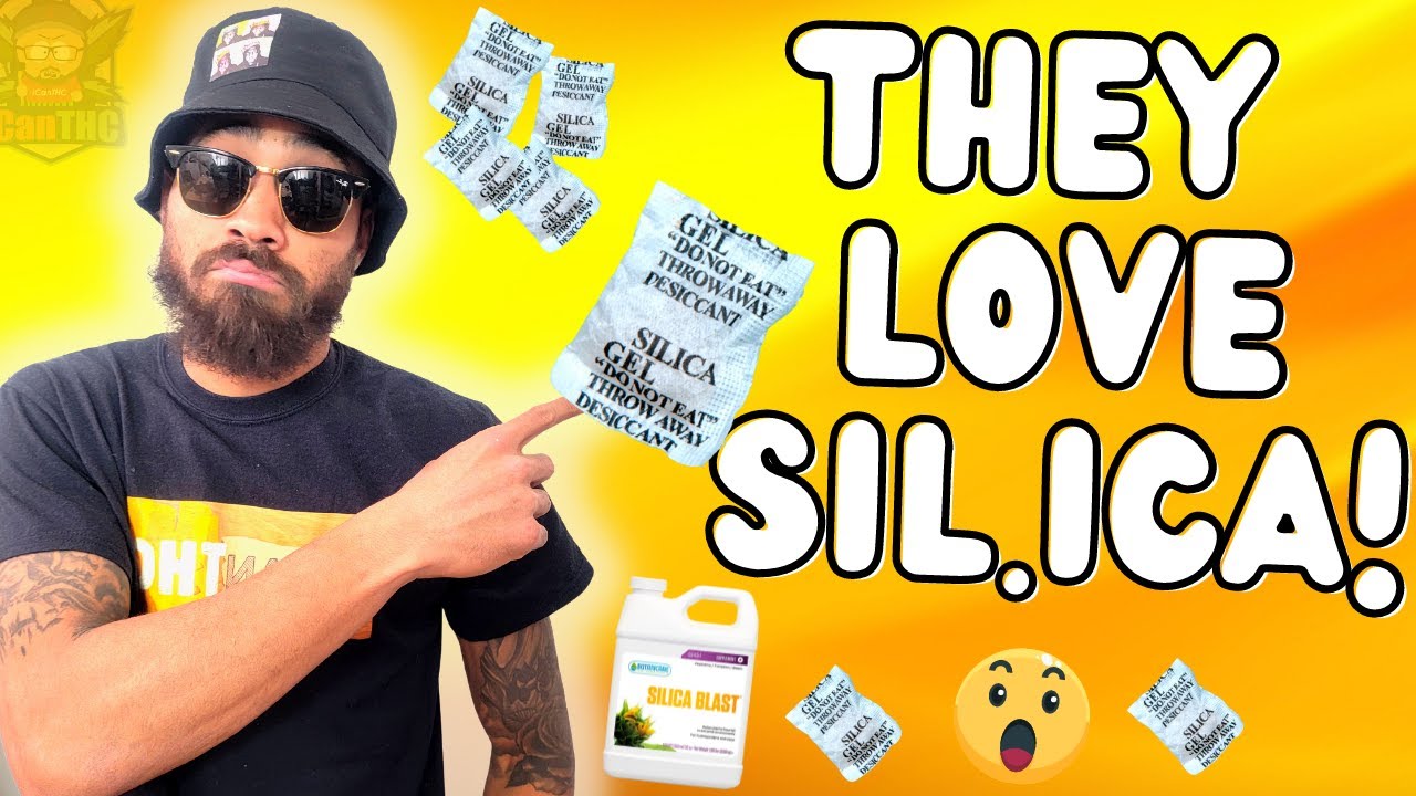 BENEFITS OF USING SIL.ICA!