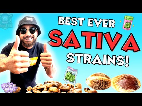 TOP 7 ALL TIME SAT!VA GENET!CS! 🔥