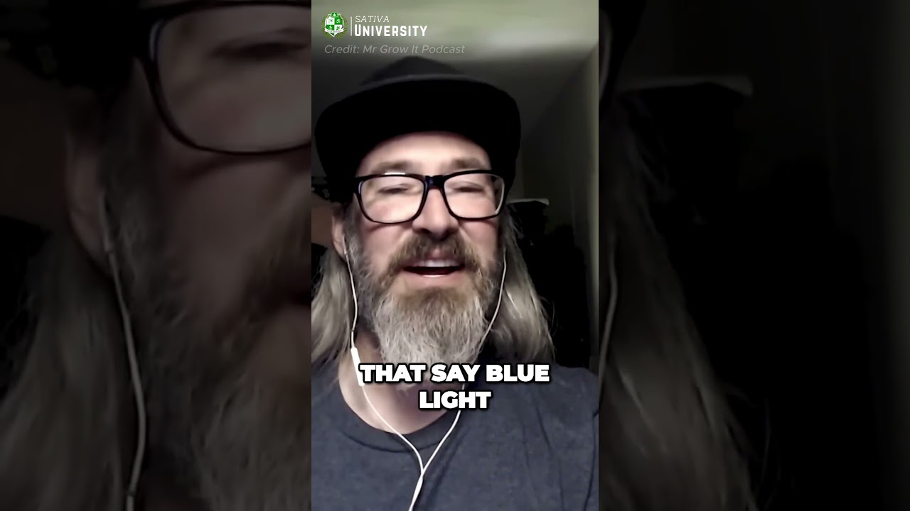 🌿🔴🔵 The Secret Recipe of "Blurple" Lights: Unlock MAX Growth for Your Plants! 🌱✨