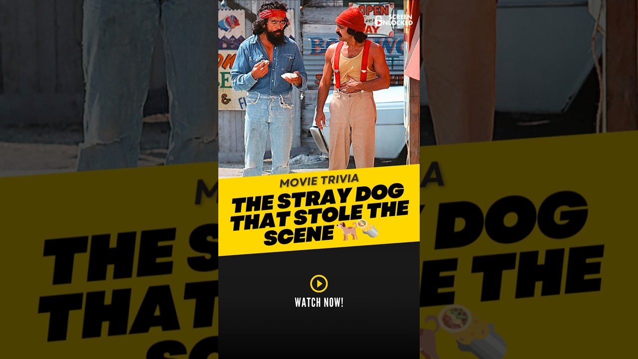 The Stray Dog That Stole Tommy Chong’s Burrito in Up in Smoke (1978)! 🐕🌯