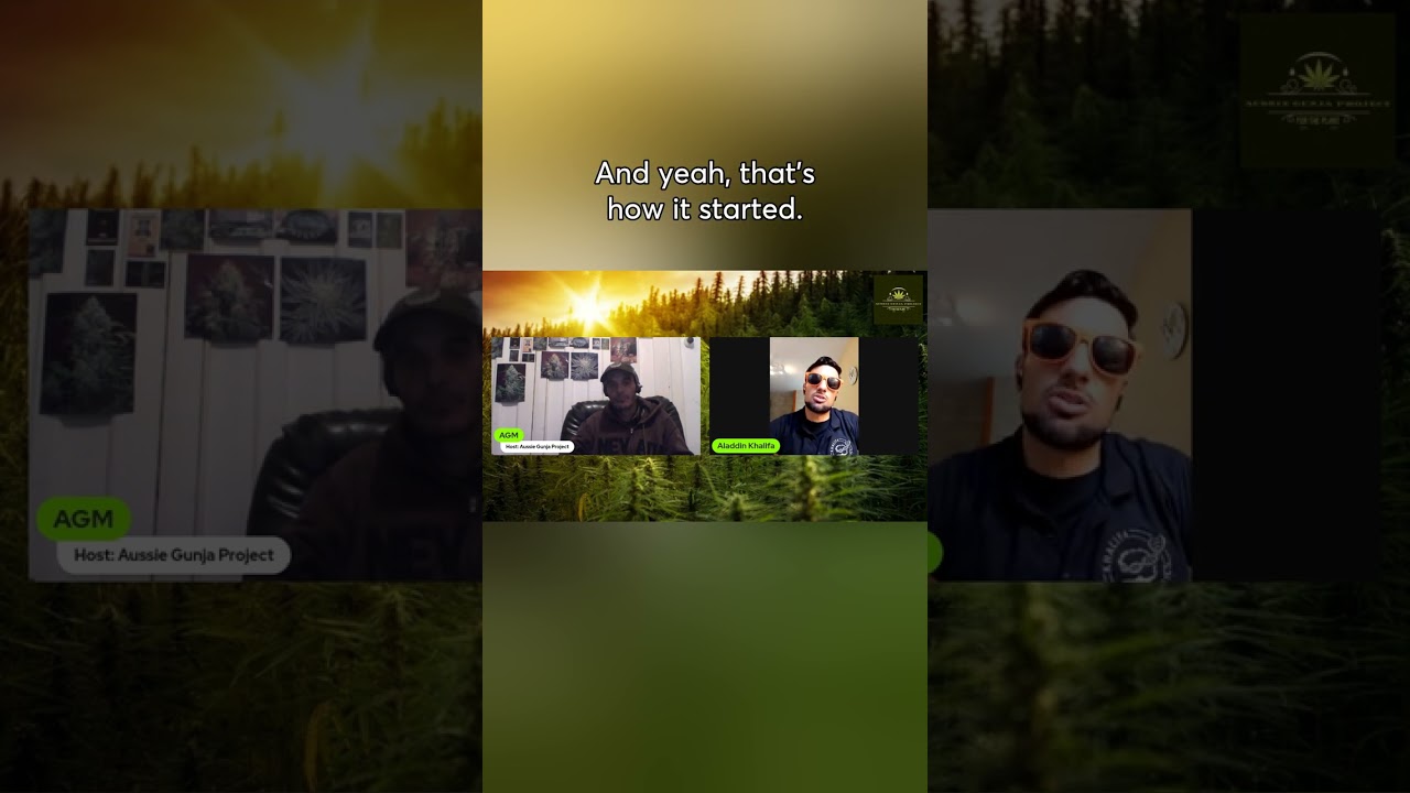 Preserving Rare Varieties: The Story of Khalifa Genetics