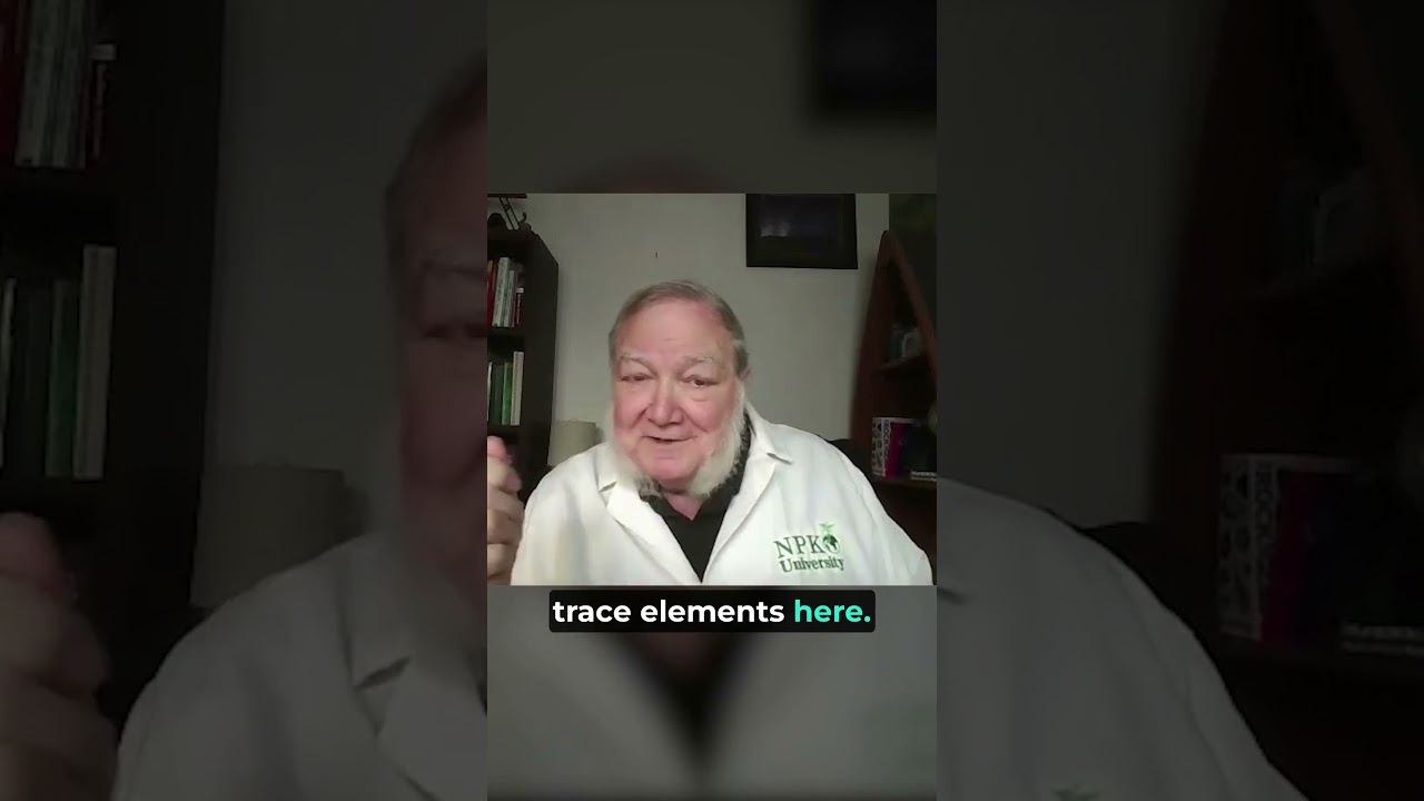 The Importance of Trace Minerals!