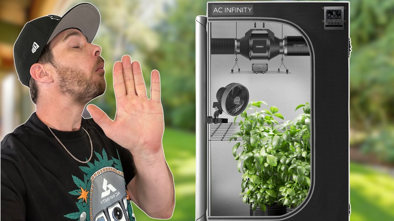 Guys with a Grow Tent