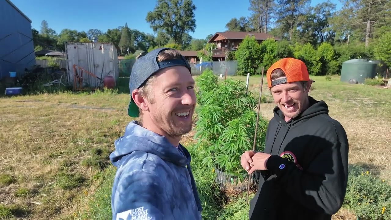 BATTLE OF THE TREES EP 4 (WORLDS BIGGEST PLANT CONTEST)