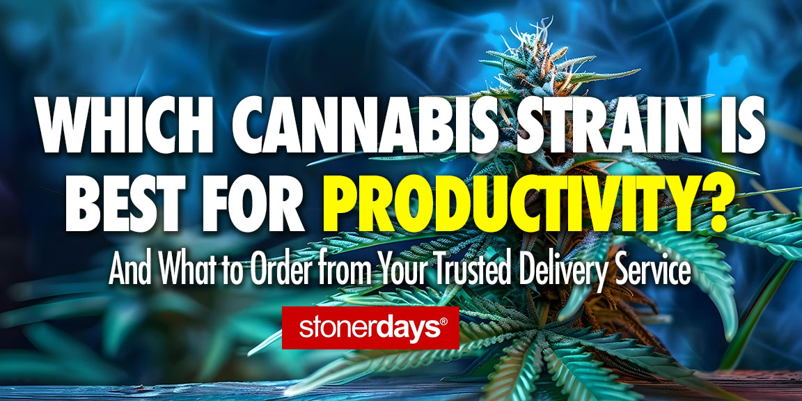 Which Cannabis Strain Is Best for Productivity? And What to Order from Your Trusted Delivery Service